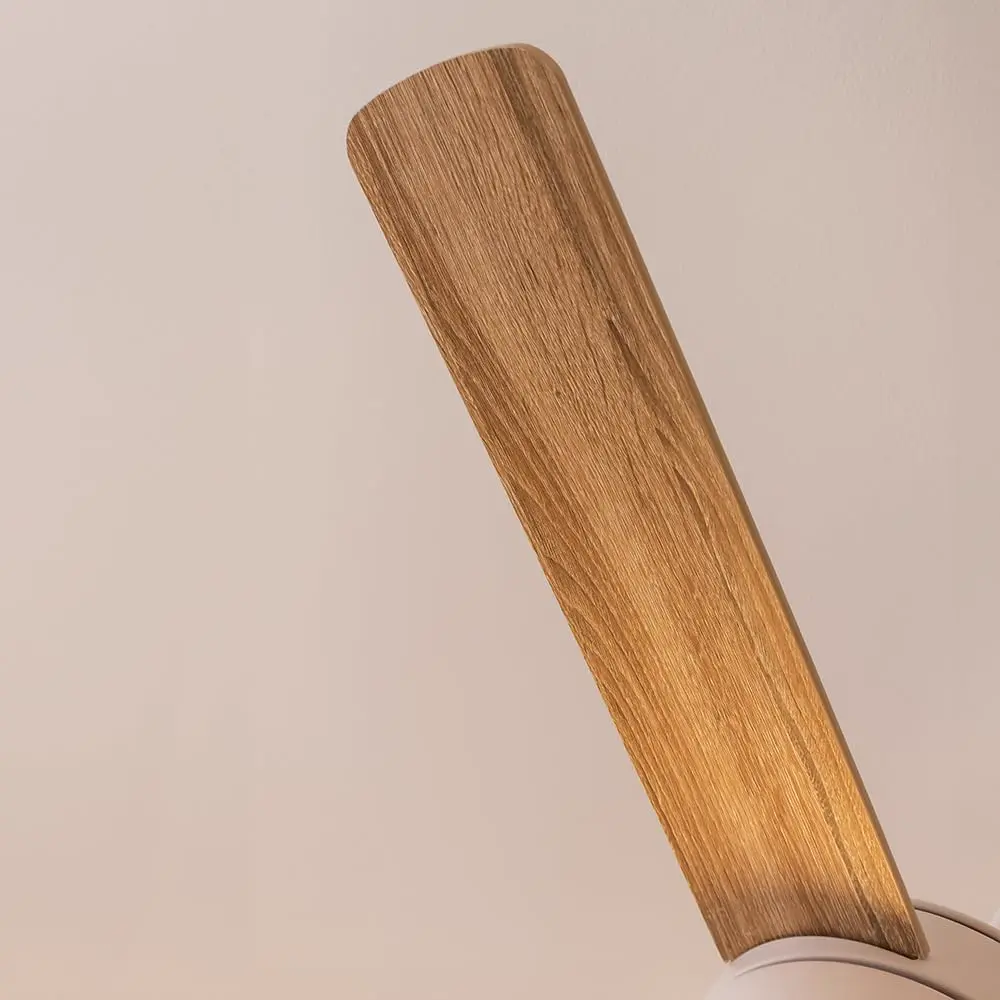 Cecotec Ventilateur de Plafond avec Lumière Energysilence Aero vue 8