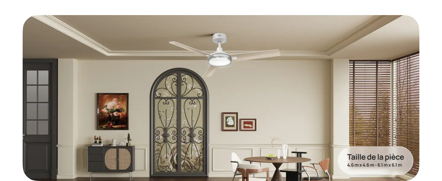 DREO ventilateur de plafond avec lumière et télécommande 132 cm, — contenu détaillé 10
