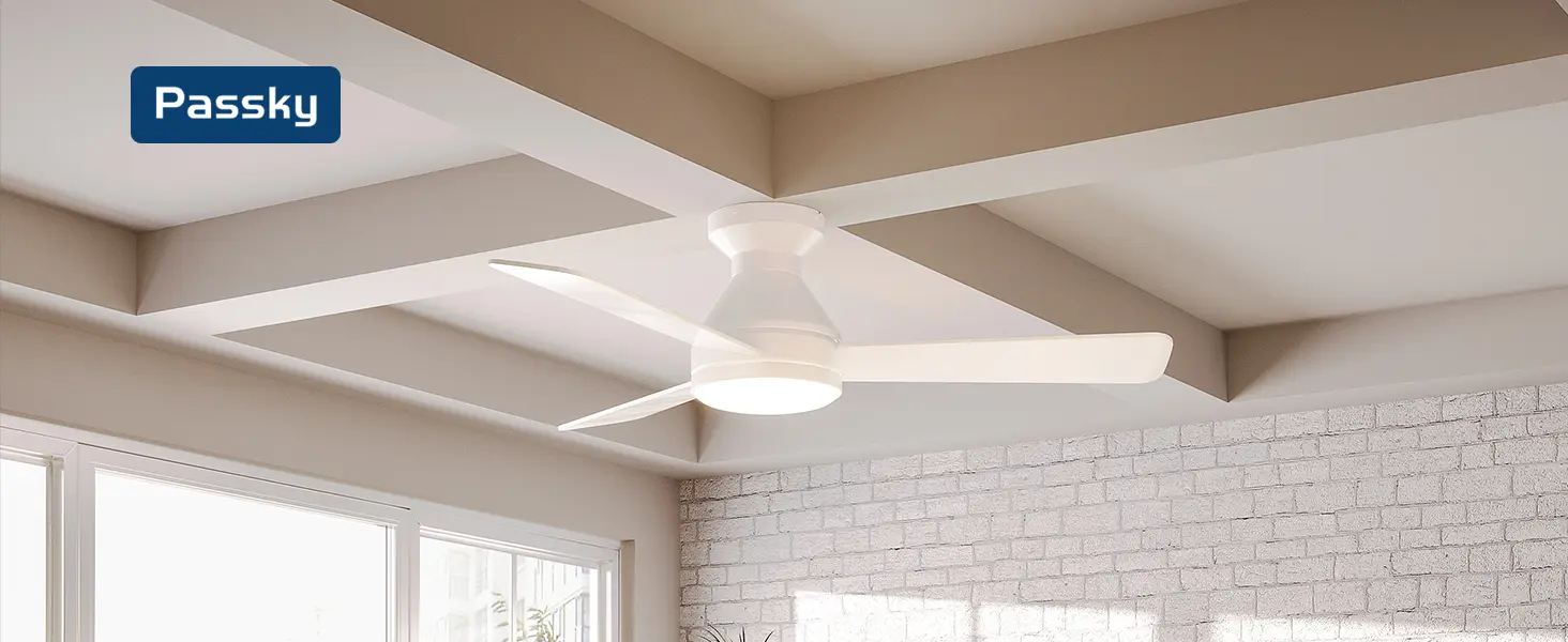 Passky Ventilateur de plafond avec lumière silencieux 107cm, — contenu détaillé 1