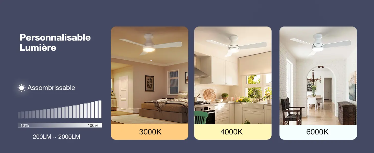 Passky Ventilateur de plafond avec lumière silencieux 107cm, — contenu détaillé 5