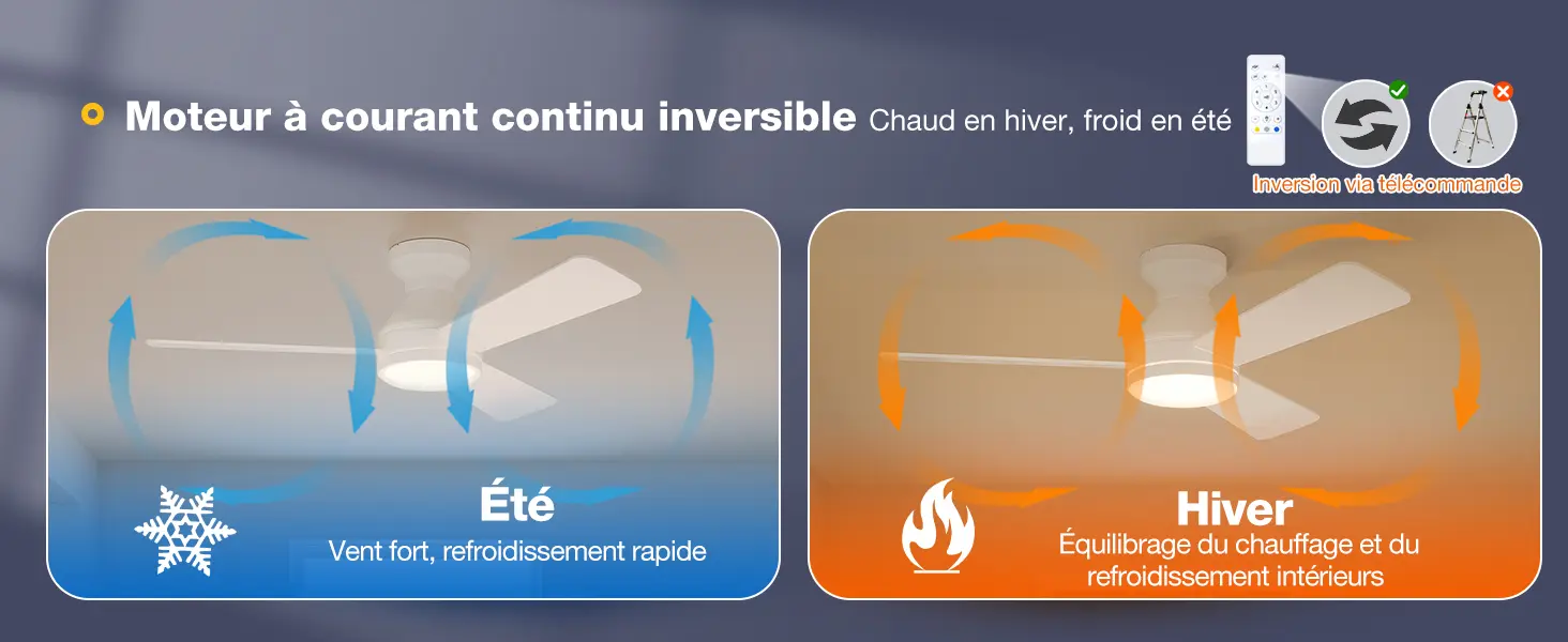Passky Ventilateur de plafond avec lumière silencieux 107cm, — contenu détaillé 7