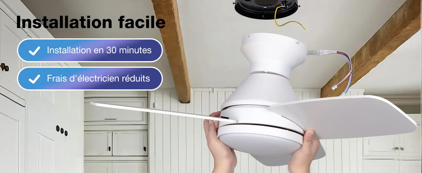 Passky Ventilateur de plafond avec lumière silencieux 107cm, — contenu détaillé 10