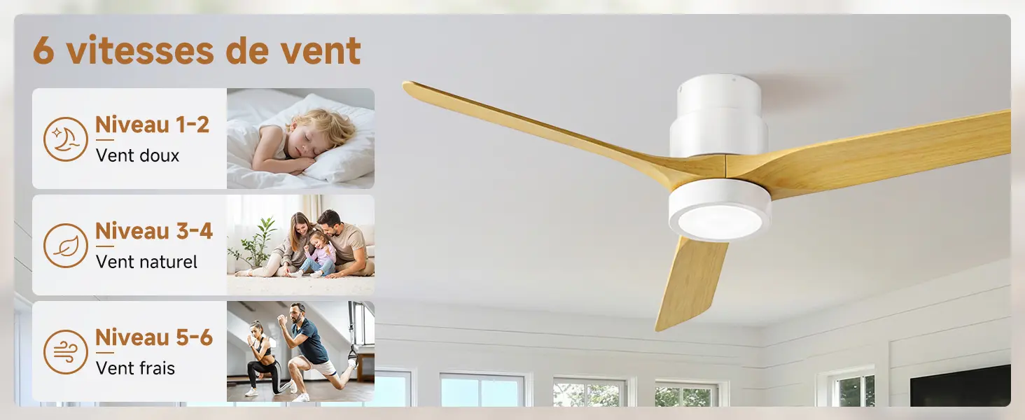 Ateroll Ventilateur Plafond Silencieux, Ventilo Plafond Avec — contenu détaillé 5