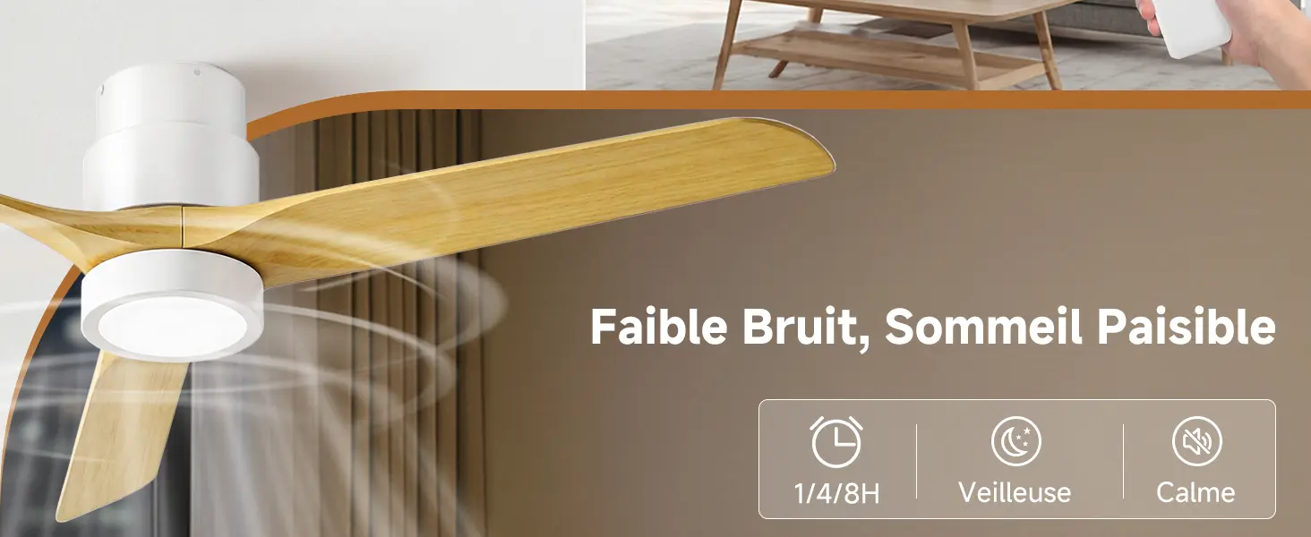 Ateroll Ventilateur Plafond Silencieux, Ventilo Plafond Avec — contenu détaillé 7